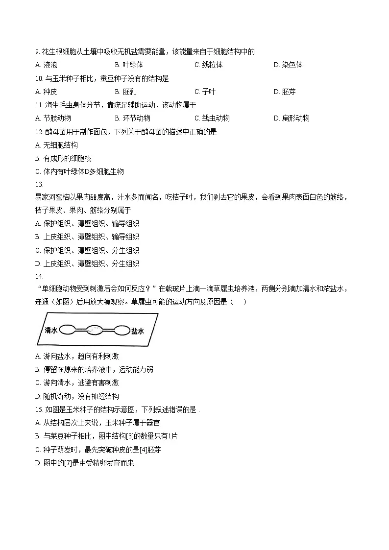 福建省厦门市外国语学校2025_2026学年七年级上学期1月期末生物试题（文字版，含答案）第2页