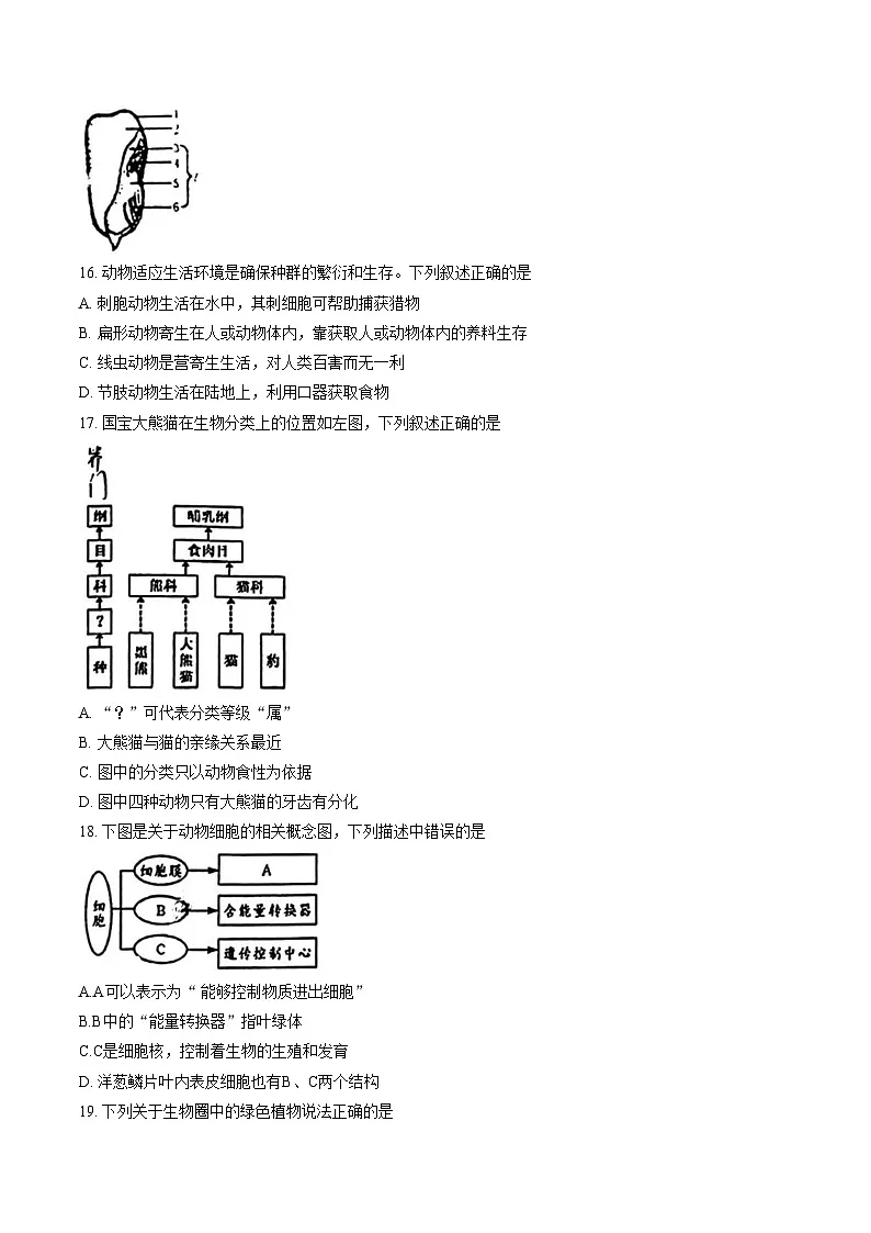 福建省厦门市外国语学校2025_2026学年七年级上学期1月期末生物试题（文字版，含答案）第3页