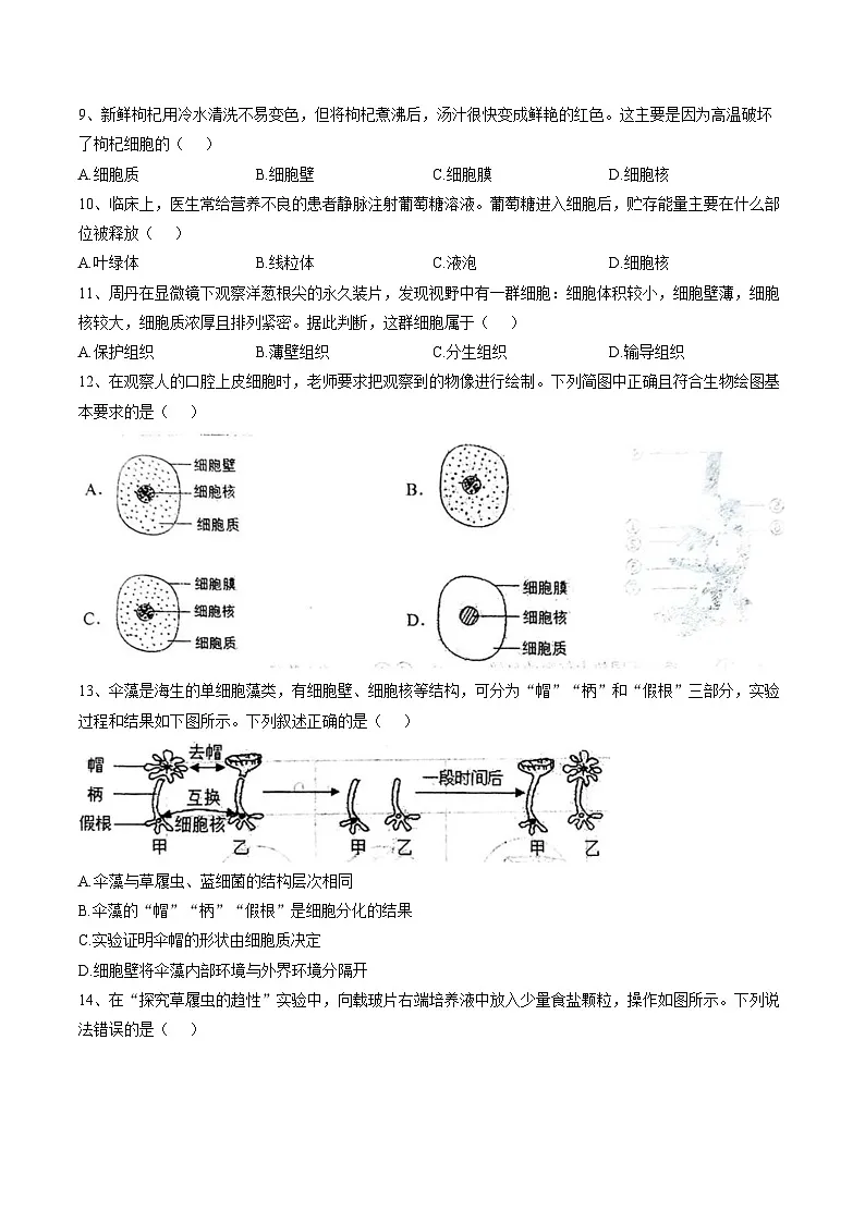 河北省廊坊市安次区2025_2026学年七年级上学期1月期末生物试题(文字版含答案)第3页