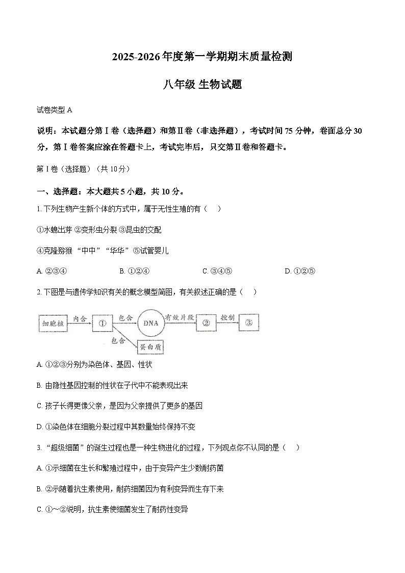 内蒙古自治区巴彦淖尔市临河区第十中学2025-2026学年八年级上学期1月期末生物试题（含答案）第1页