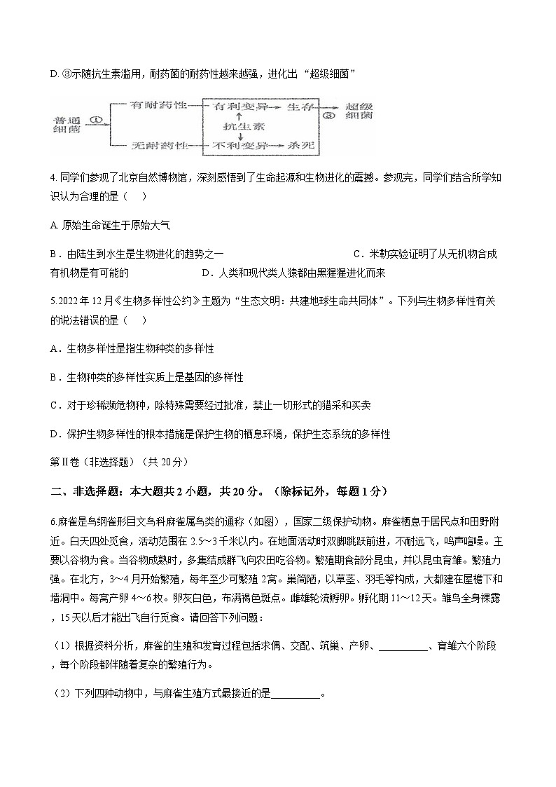 内蒙古自治区巴彦淖尔市临河区第十中学2025-2026学年八年级上学期1月期末生物试题（含答案）第2页