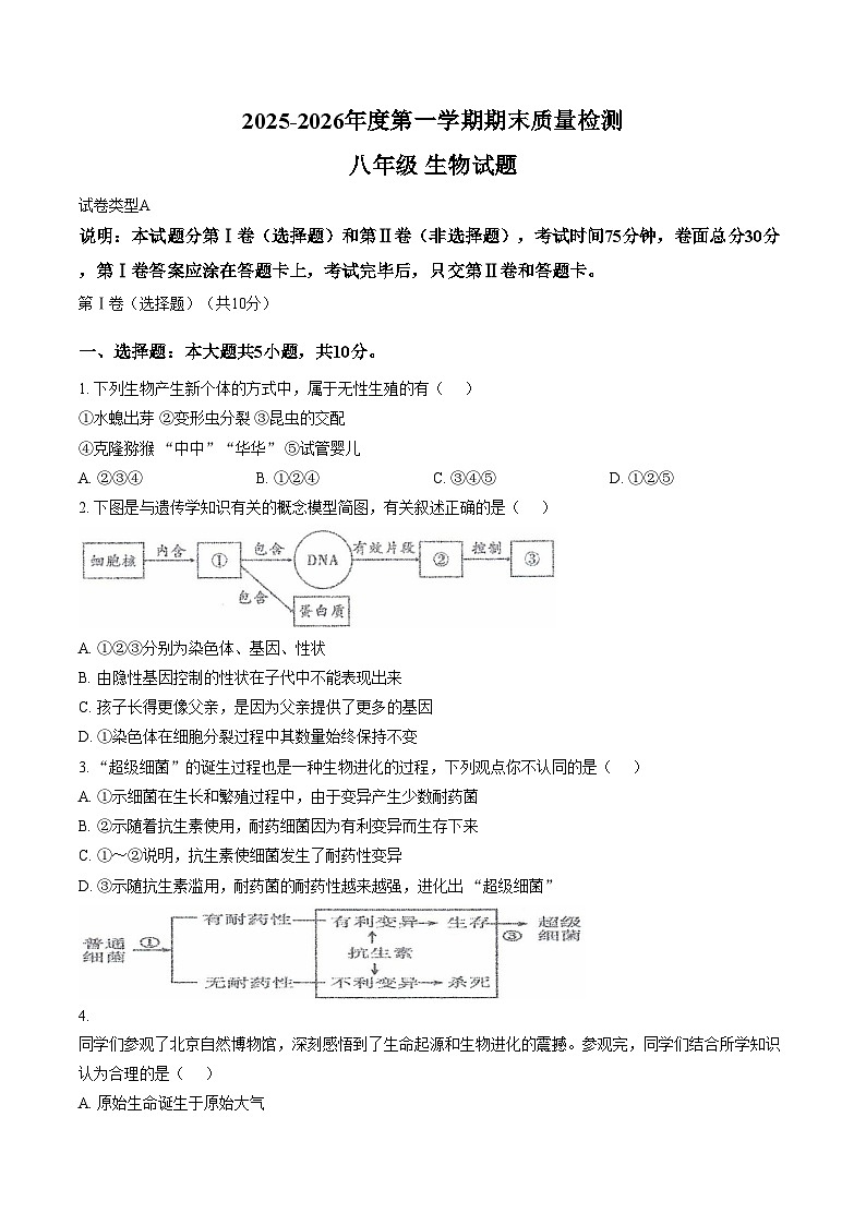 内蒙古自治区巴彦淖尔市临河区第十中学2025_2026学年八年级上学期1月期末生物试题（文字版，含答案）第1页