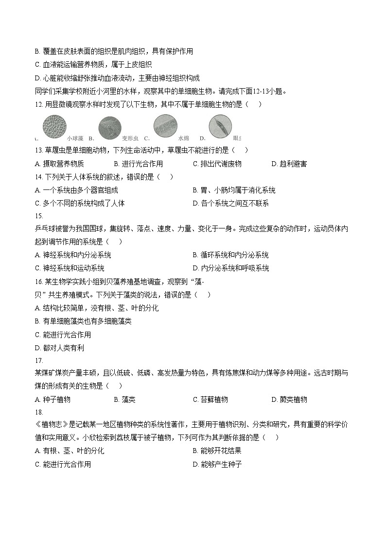云南省文山壮族苗族自治州马关县2025__2026学年七年级上学期质量监测生物试卷（文字版，含答案）第3页