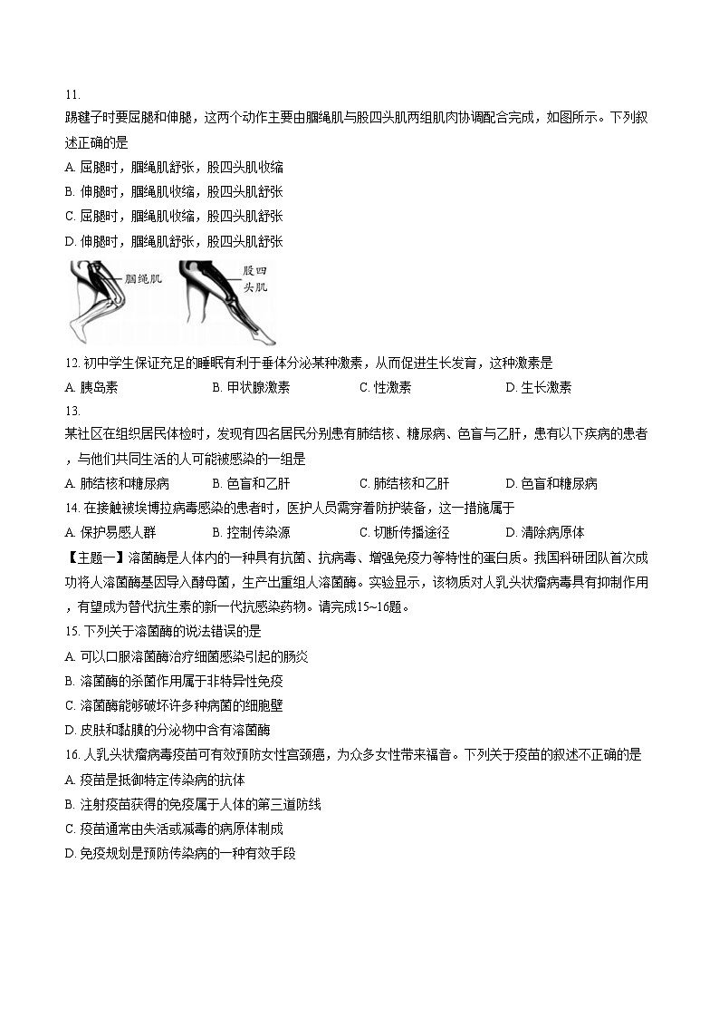 广东省揭阳市部分学校2025_2026学年八年级生物学上学期期末模拟试题（文字版，含答案）第3页
