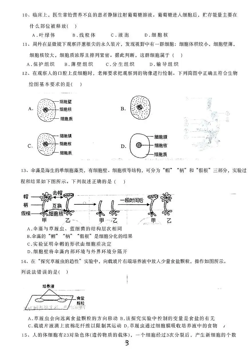 河北省廊坊市安次区2025-2026学年七年级上学期1月期末生物试题第3页