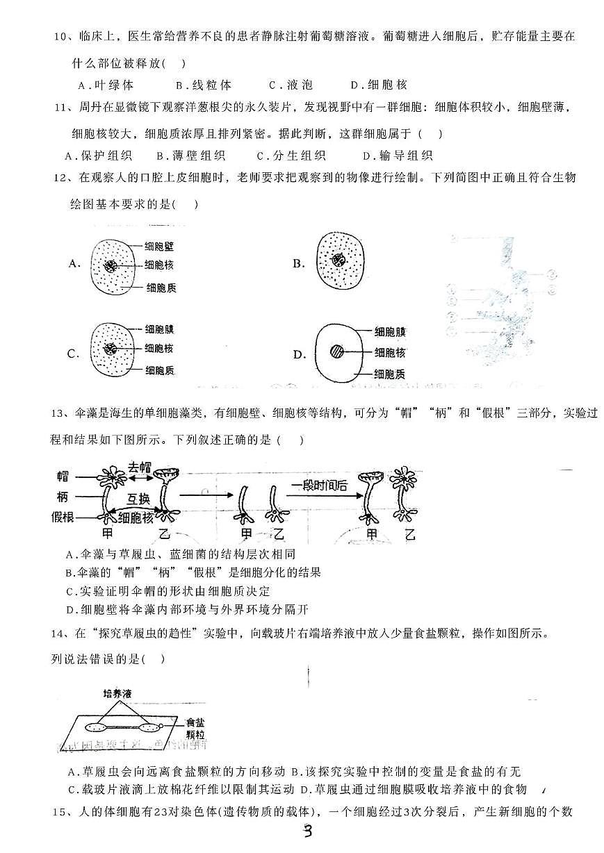 河北省廊坊市安次区2025-2026学年七年级上学期1月期末生物试题第3页