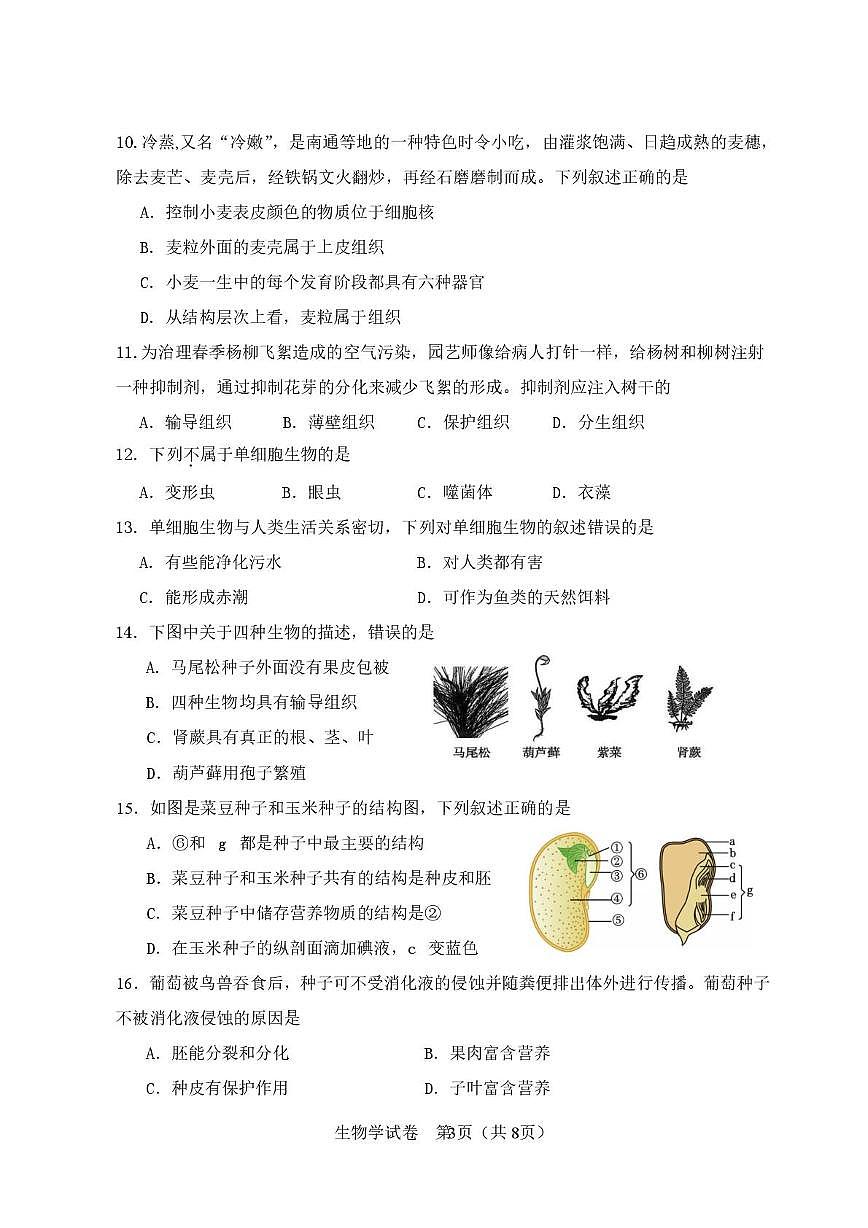 天津市河北区2025-2026学年七年级上学期生物期末试题.第3页