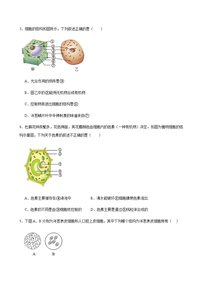 2025-2026人教版生物七上【动植物细胞和细胞的生活】期末专项训练（含答案）第2页