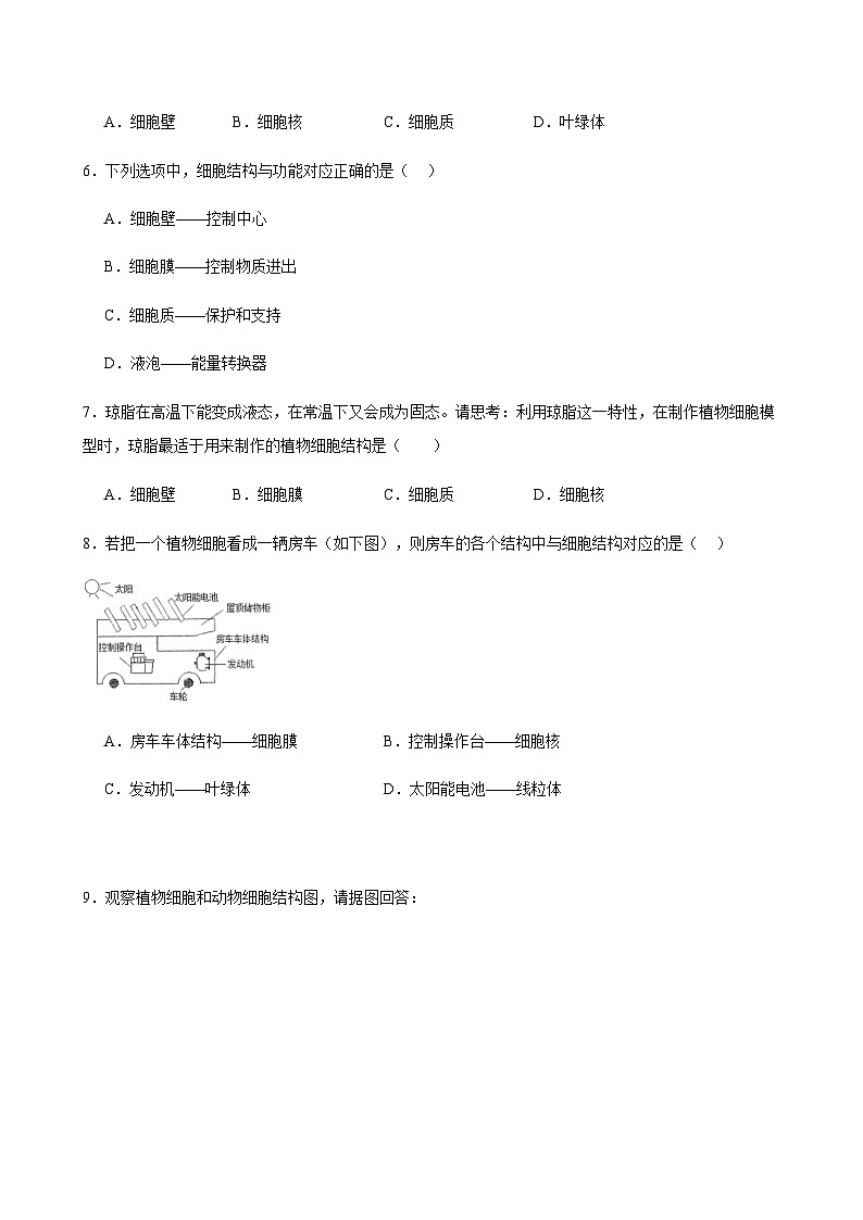 2025-2026人教版生物七上【动植物细胞和细胞的生活】期末专项训练（含答案）第3页