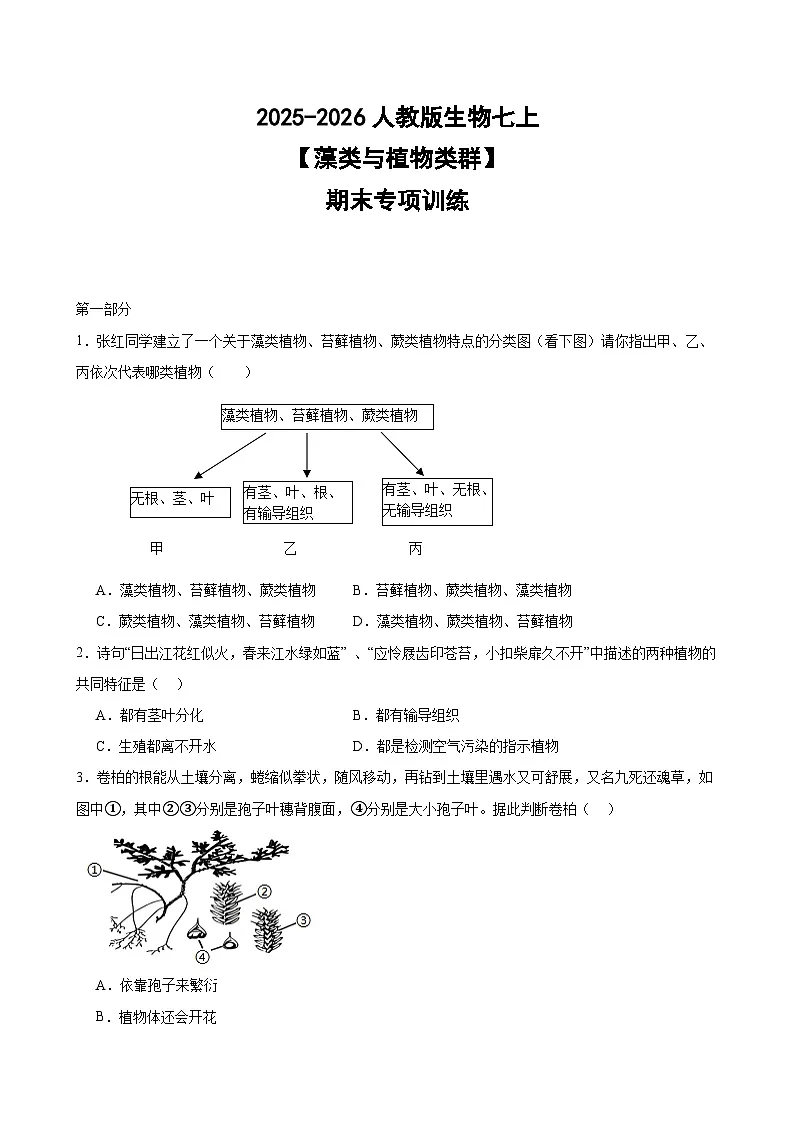 2025-2026人教版生物七上【藻类与植物类群】期末专项训练（含答案）第1页