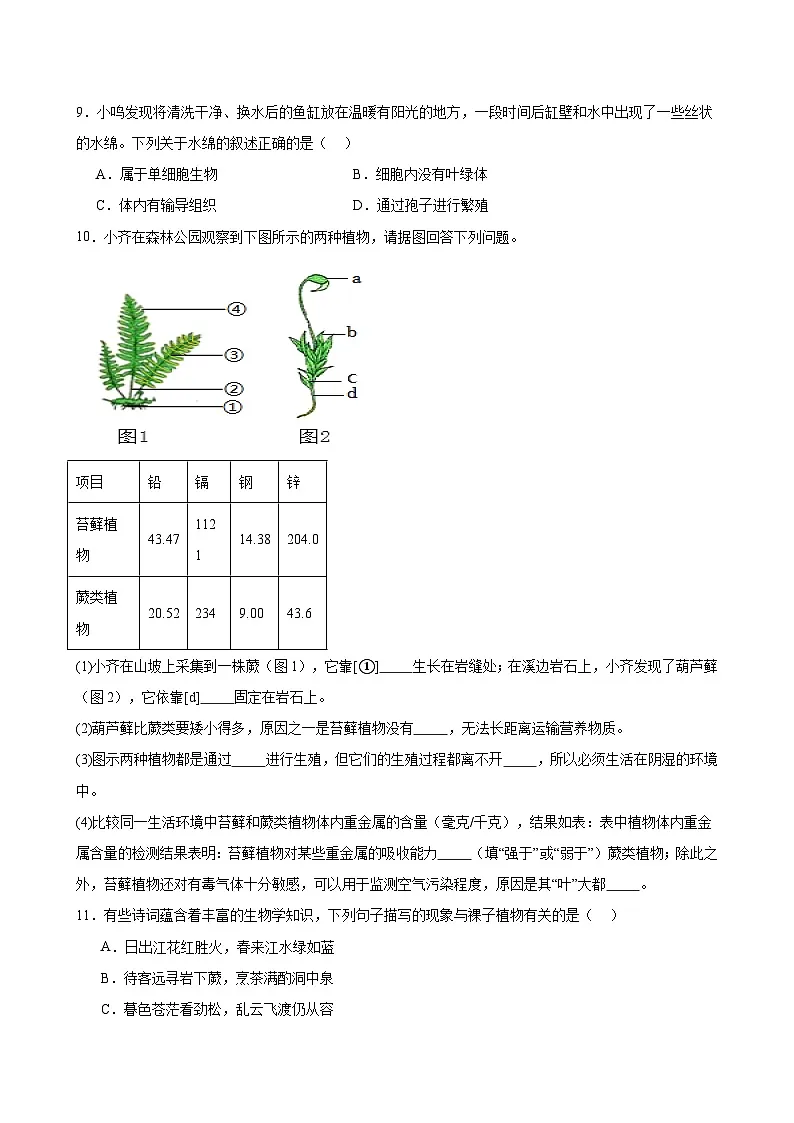 2025-2026人教版生物七上【藻类与植物类群】期末专项训练（含答案）第3页
