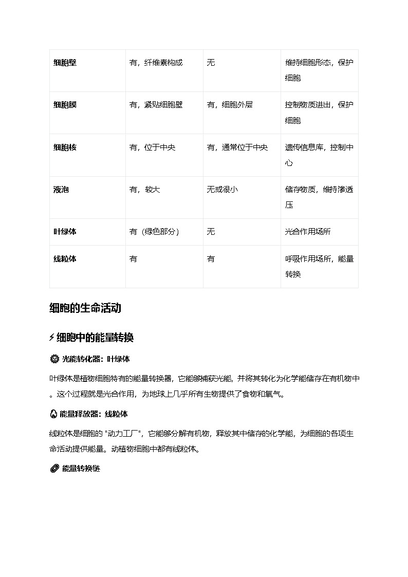 人教版（2024）七年级上册生物期末复习知识点提纲精简版 讲义第3页