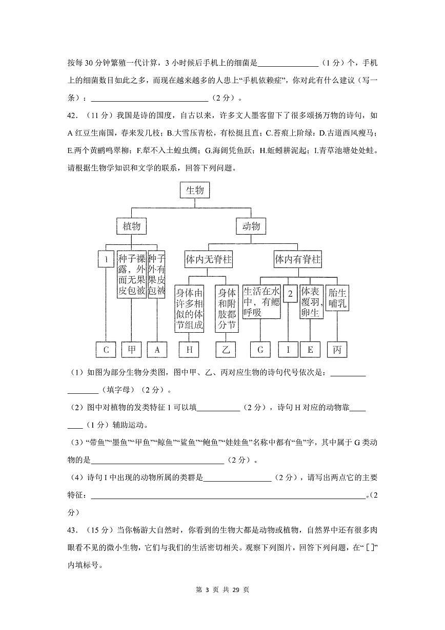 2024-2025学年深圳市八年级上册期末生物试卷综合填空题汇编含答案第3页