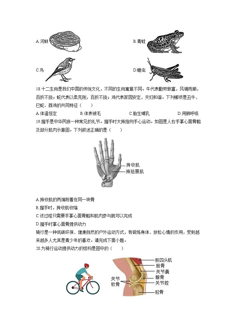 2025-2026学年广东省河源市紫金县八年级上学期期末练习生物试卷（学生版）第3页