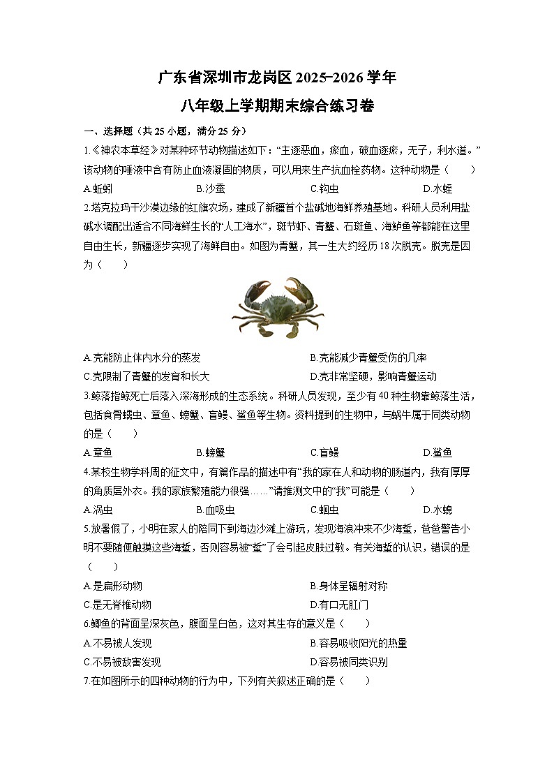 2025-2026学年广东省深圳市龙岗区八年级上学期期末综合练习生物试卷（学生版）第1页