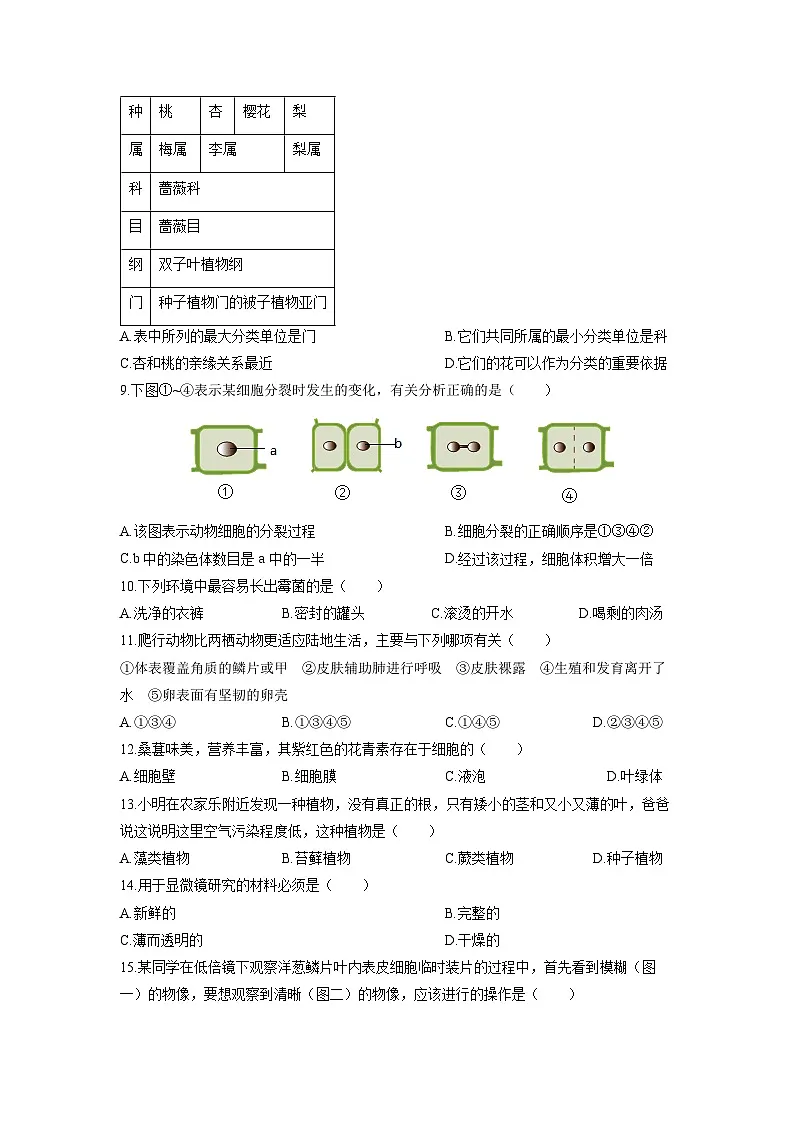 2025-2026学年山西省运城市稷山县七年级上学期期末考试生物试卷（学生版）第2页