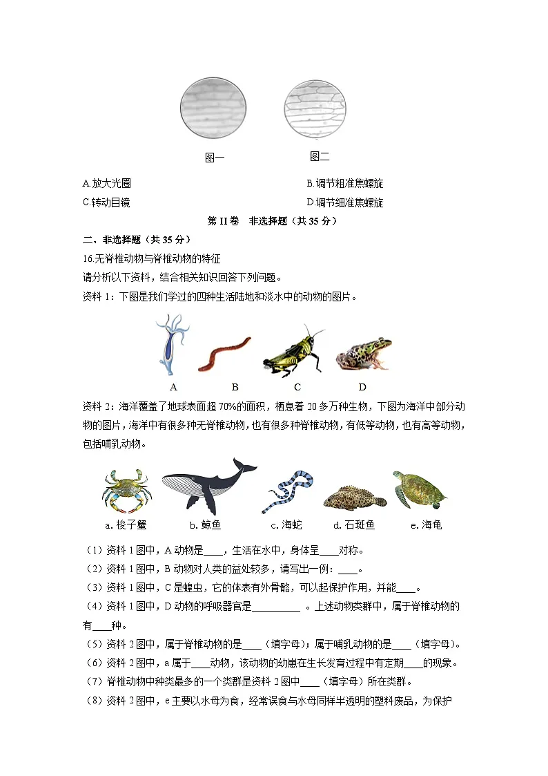 2025-2026学年山西省运城市稷山县七年级上学期期末考试生物试卷（学生版）第3页