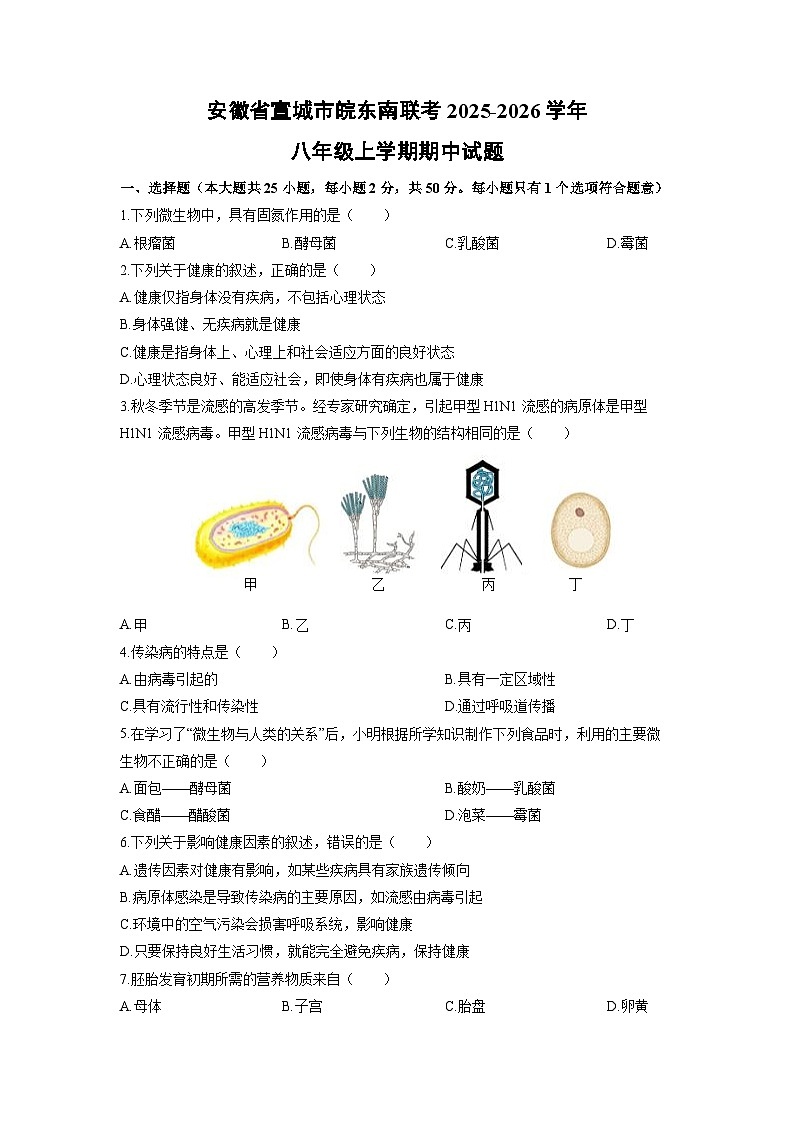2025-2026学年安徽省宣城市皖东南联考八年级上学期期中生物试卷（学生版）第1页