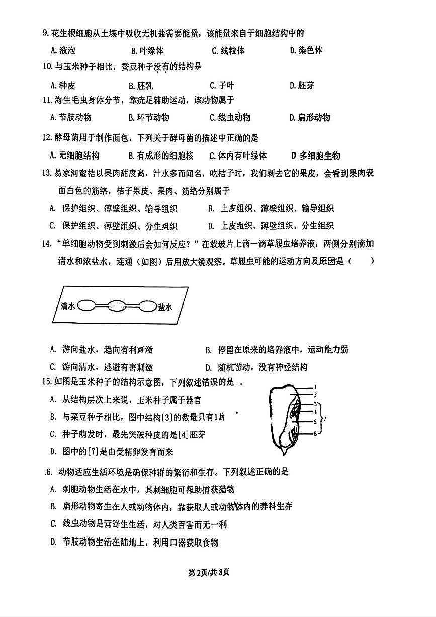 福建省厦门市外国语学校2025-2026学年七年级上学期1月期末生物试题第2页