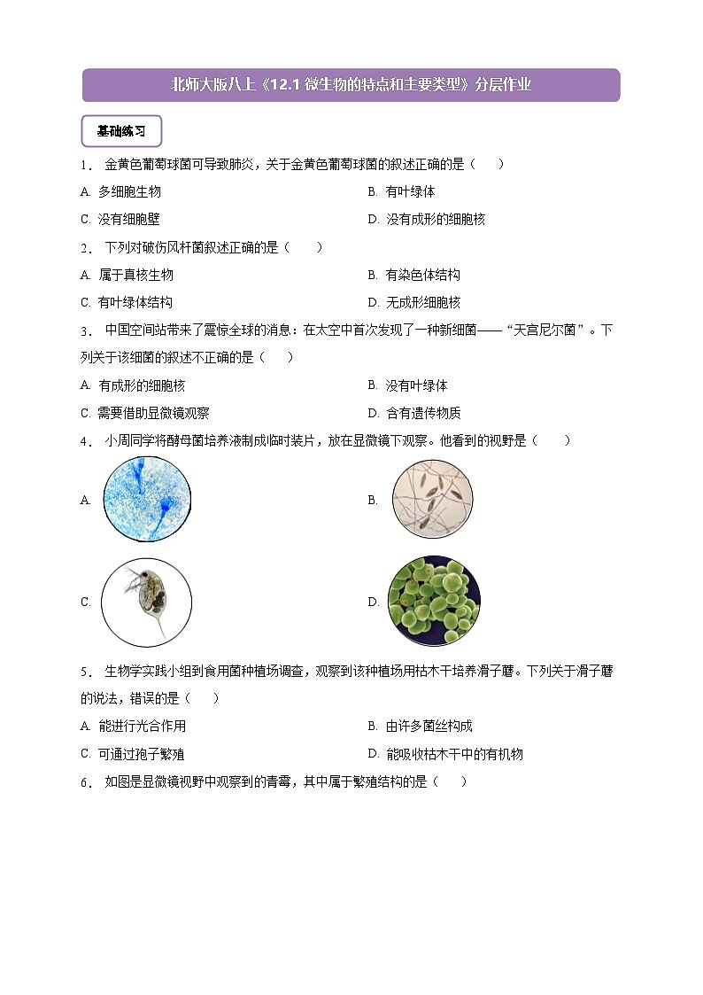 5.12.1 微生物的特点和主要类型-分层作业（含答案）--北师大版生物八年级上册第1页