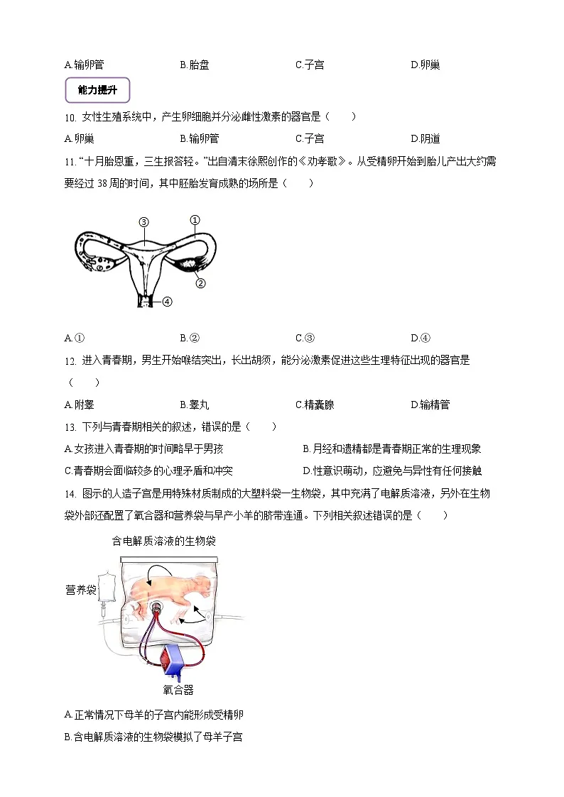 6.15.1 人的生殖和发育-分层作业（含答案）--北师大版生物八年级上册第2页