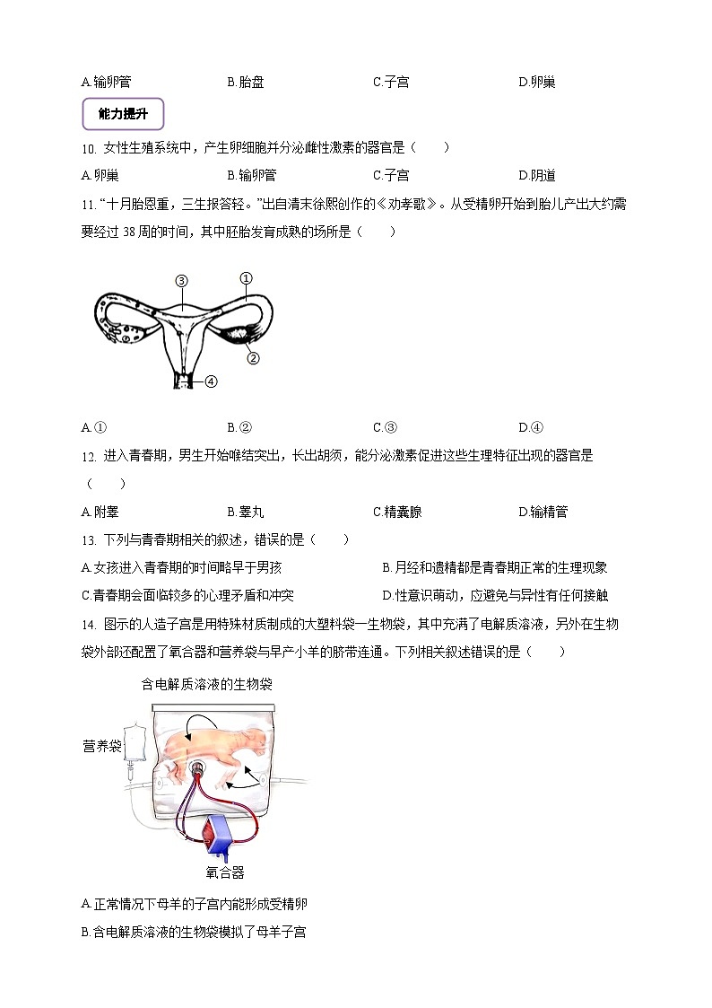 6.15.1 人的生殖和发育-分层作业（含答案）--北师大版生物八年级上册第2页