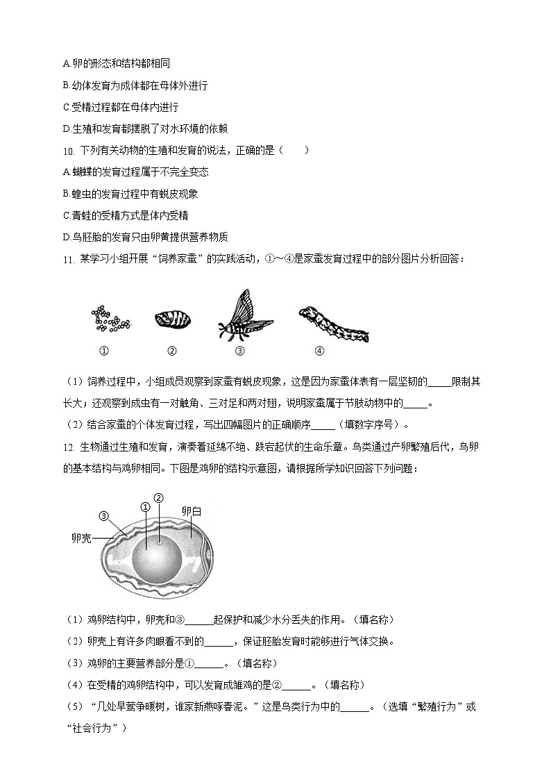 6.15.2 动物的生殖和发育-分层作业（含答案）--北师大版生物八年级上册第2页