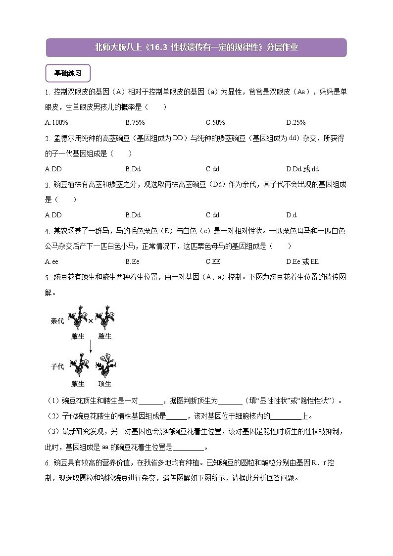 6.16.3 性状遗传有一定的规律性-分层作业（含答案）--北师大版生物八年级上册第1页