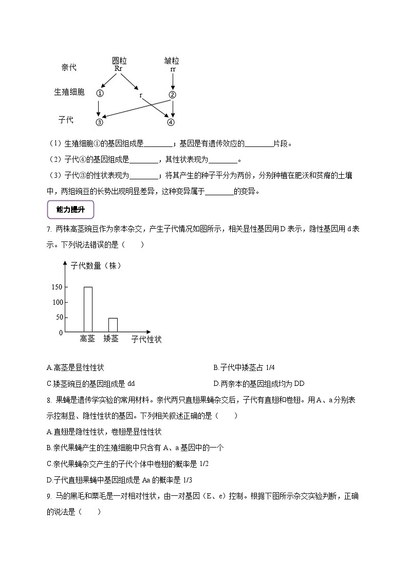 6.16.3 性状遗传有一定的规律性-分层作业（含答案）--北师大版生物八年级上册第2页