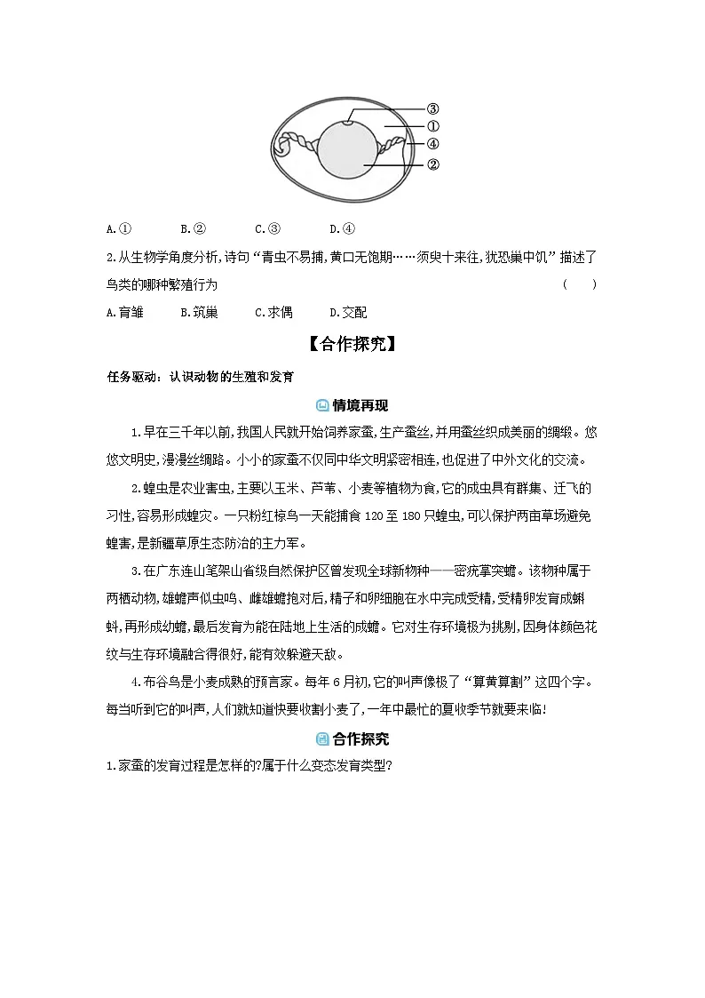 6.15.2 动物的生殖和发育 导学案 （含答案）北师大版初中生物学八年级上册第3页