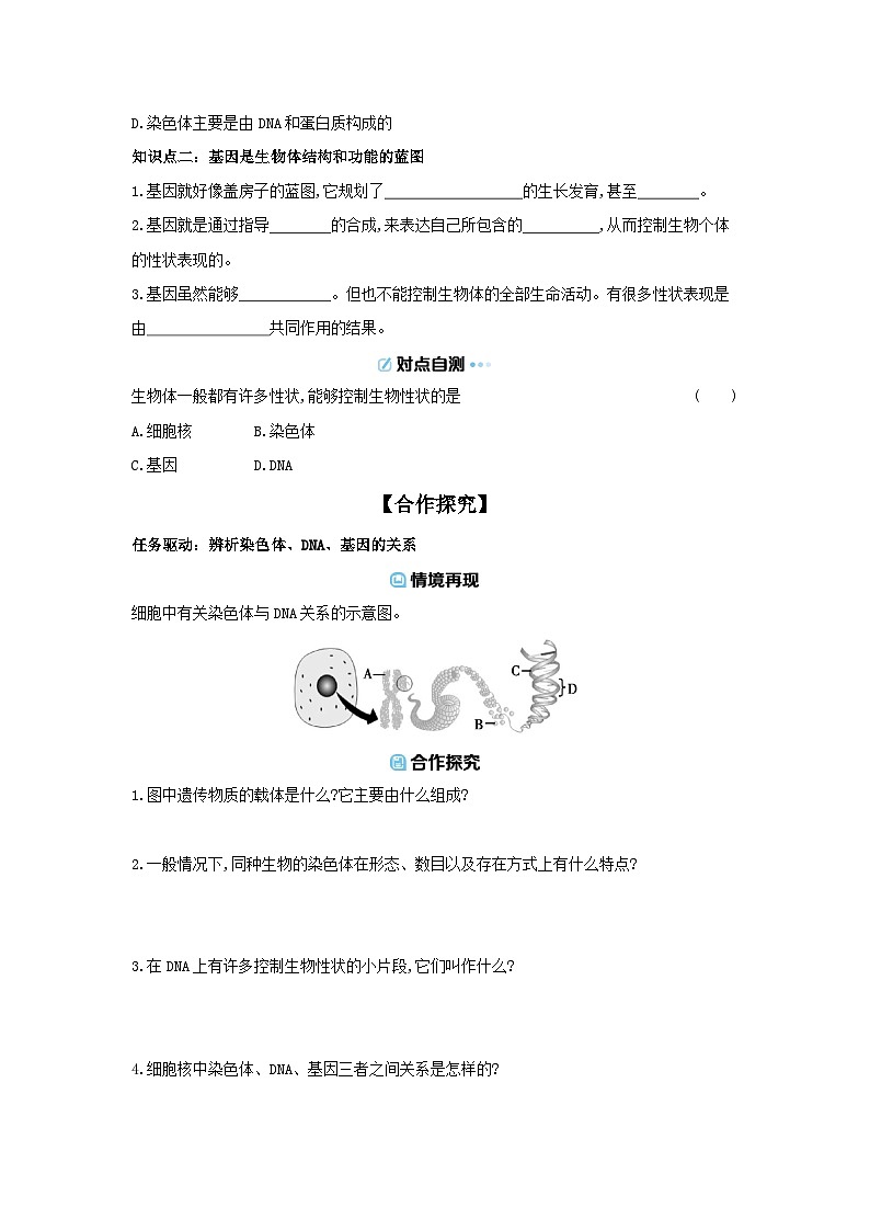 6.16.2  性状遗传的物质基础 导学案 （含答案）北师大版初中生物学八年级上册第2页