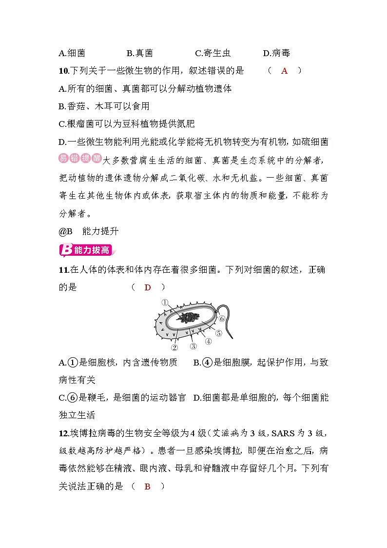 12.1 微生物的特点和主要类型第3页