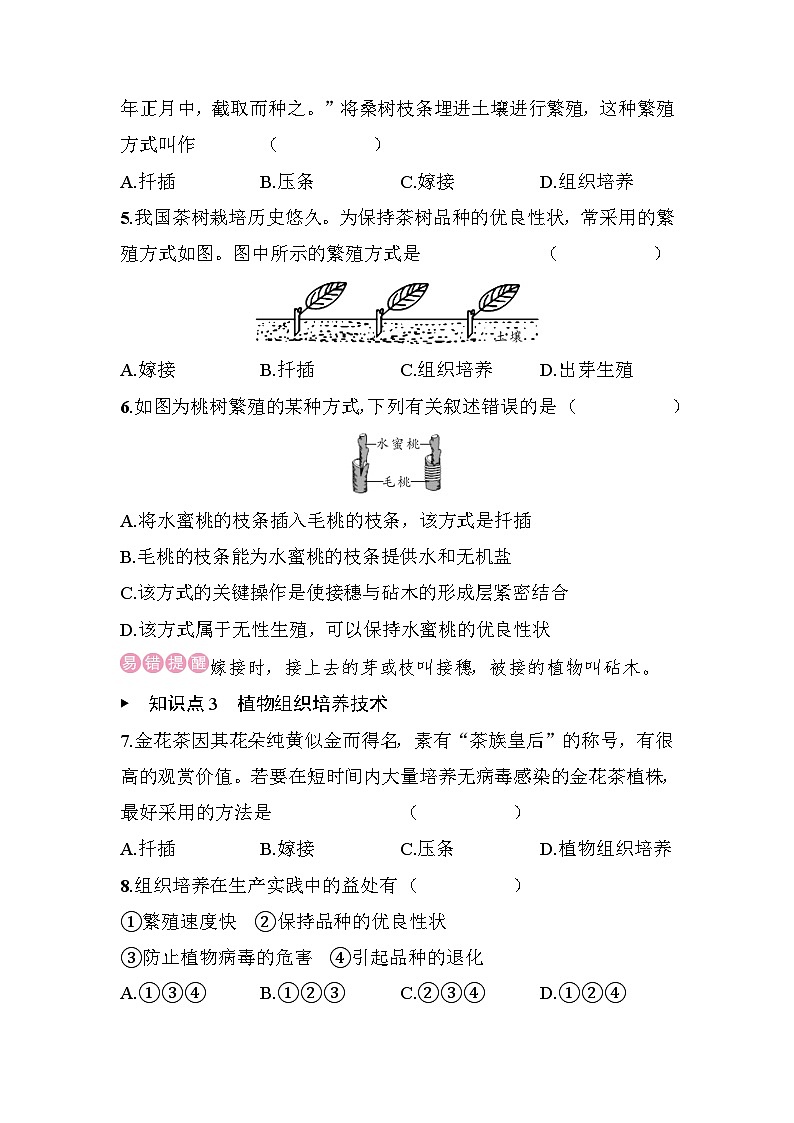 15.3　植物的生殖方式 - 学生版第2页