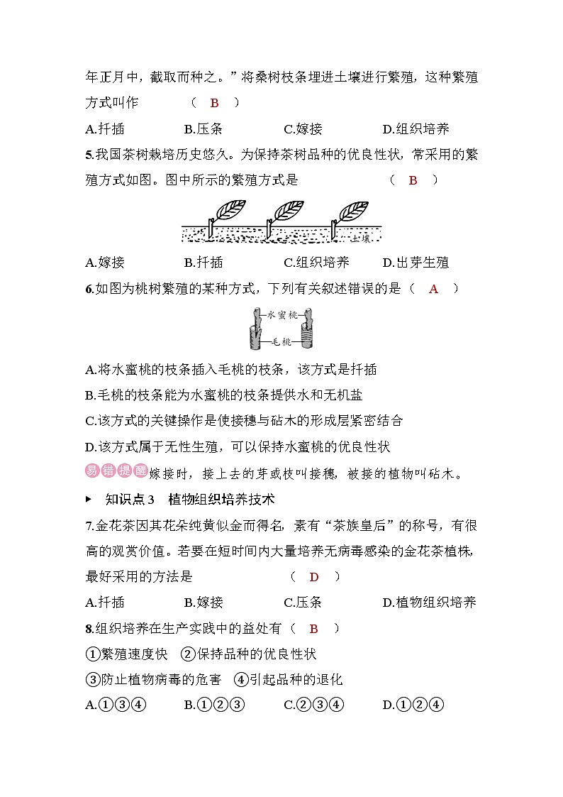 15.3　植物的生殖方式第2页