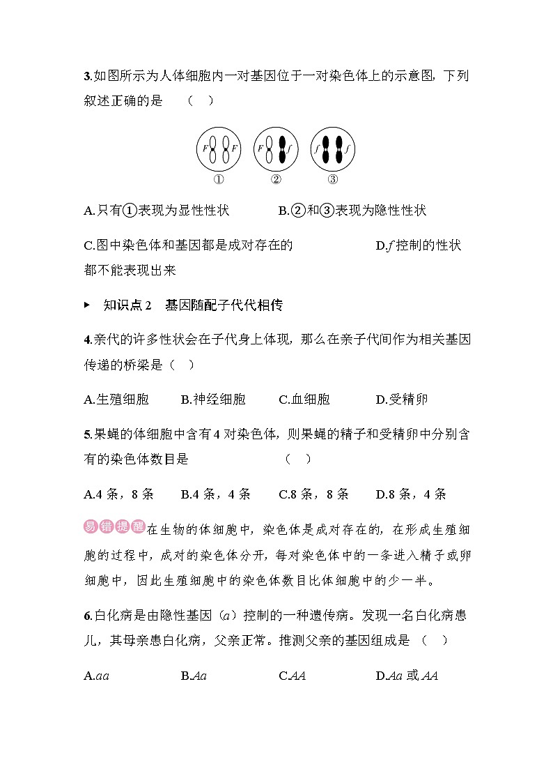 16.3　性状遗传有一定的规律性 - 学生版第2页