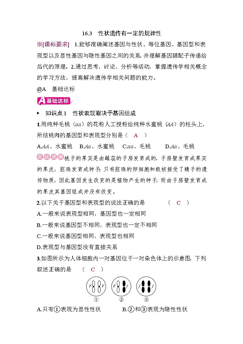 16.3　性状遗传有一定的规律性第1页