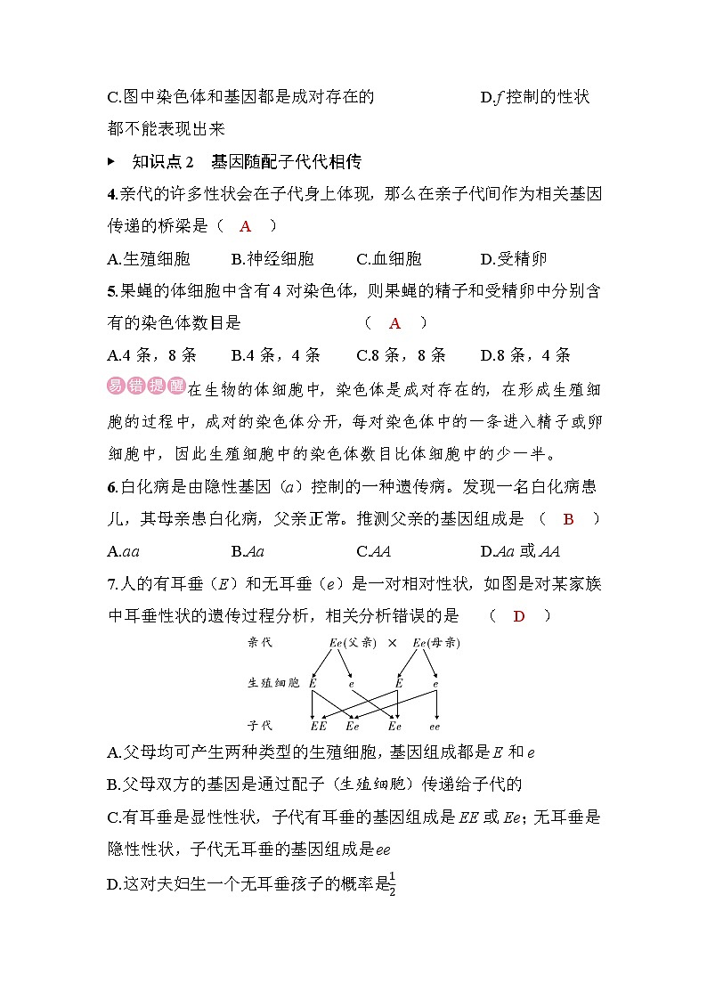 16.3　性状遗传有一定的规律性第2页