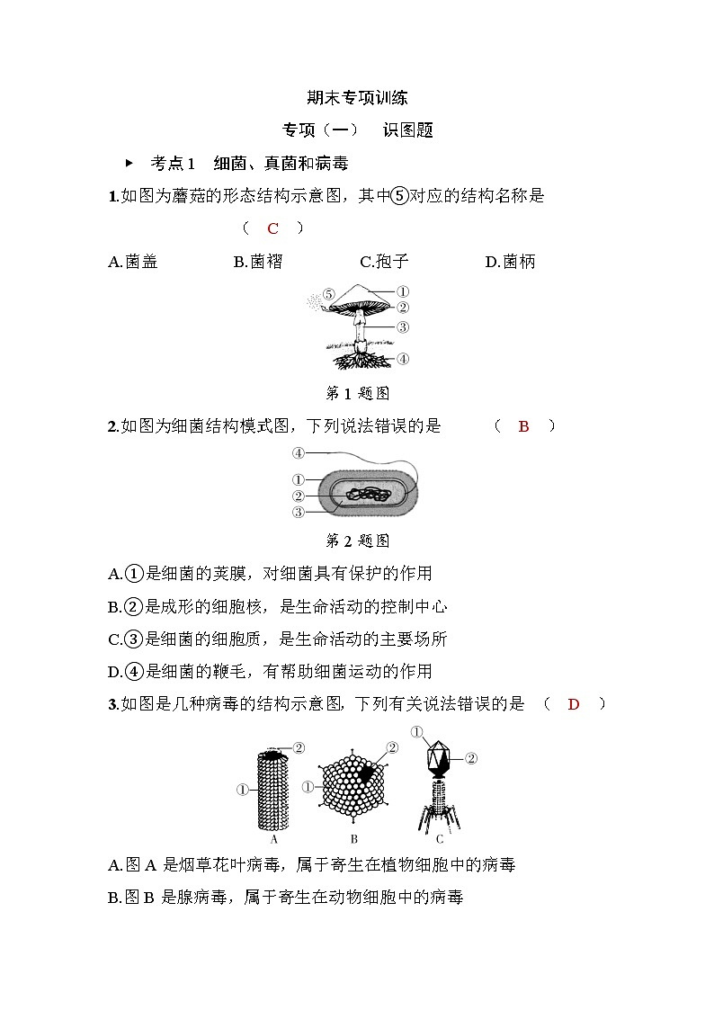 期末专项训练 专项（一）识图题第1页