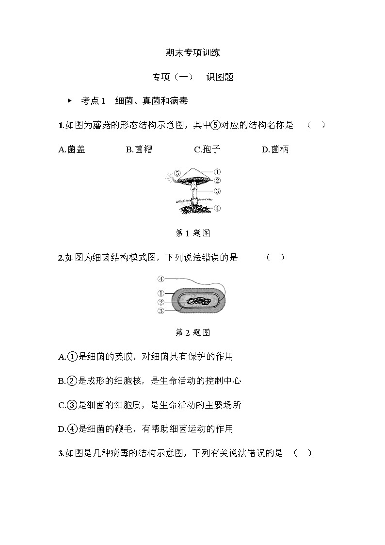 期末专项训练 专项（一）识图题 - 学生版第1页