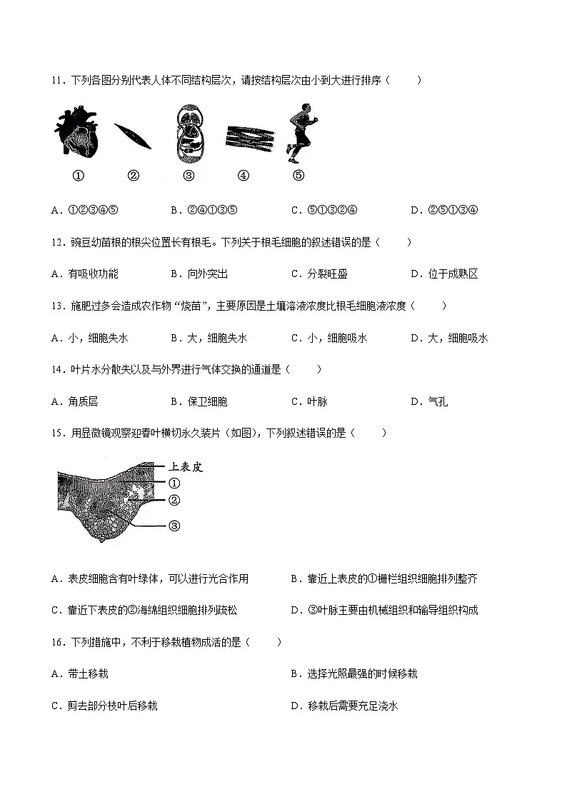 【试卷】北京市石景山区2025--2026学年七年级上学期期末生物试题第3页