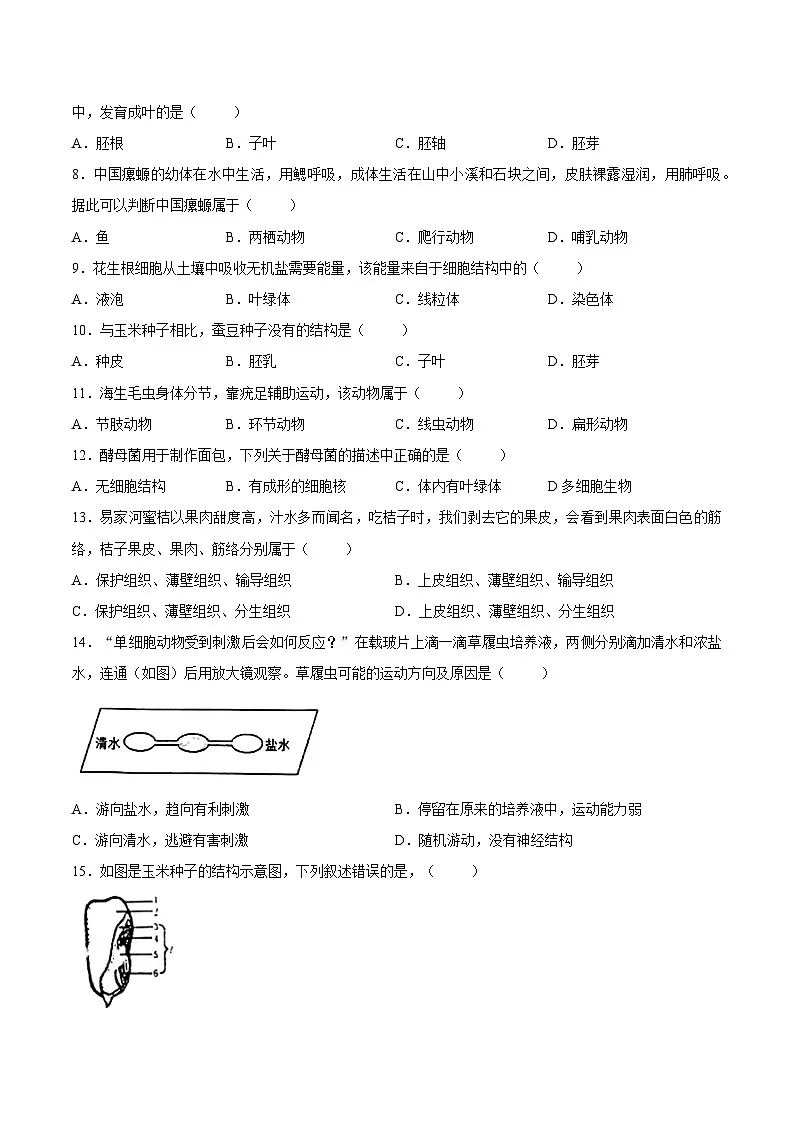 【试卷】福建省厦门市外国语学校2025-2026学年七年级上学期1月期末生物试题第2页