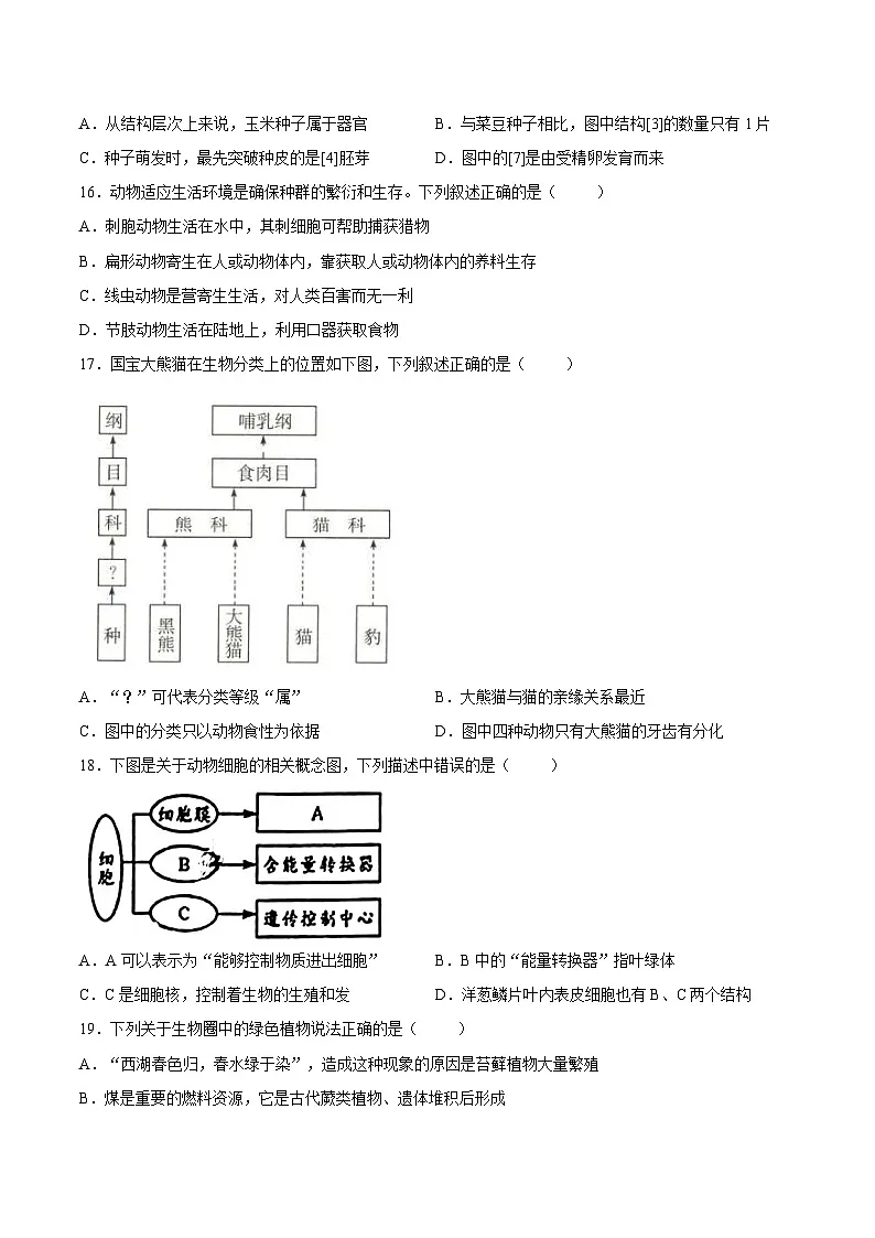 【试卷】福建省厦门市外国语学校2025-2026学年七年级上学期1月期末生物试题第3页