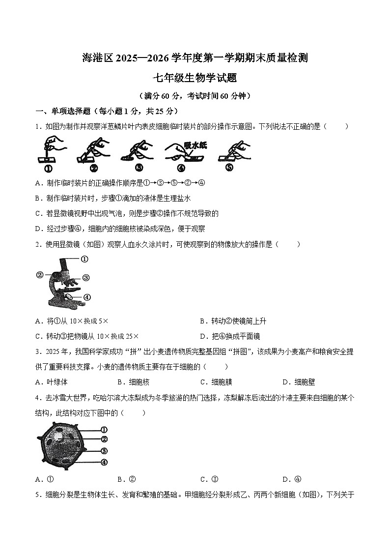 【试卷】河北省秦皇岛市海港区2025-2026学年七年级上学期期末质量检测生物试卷第1页