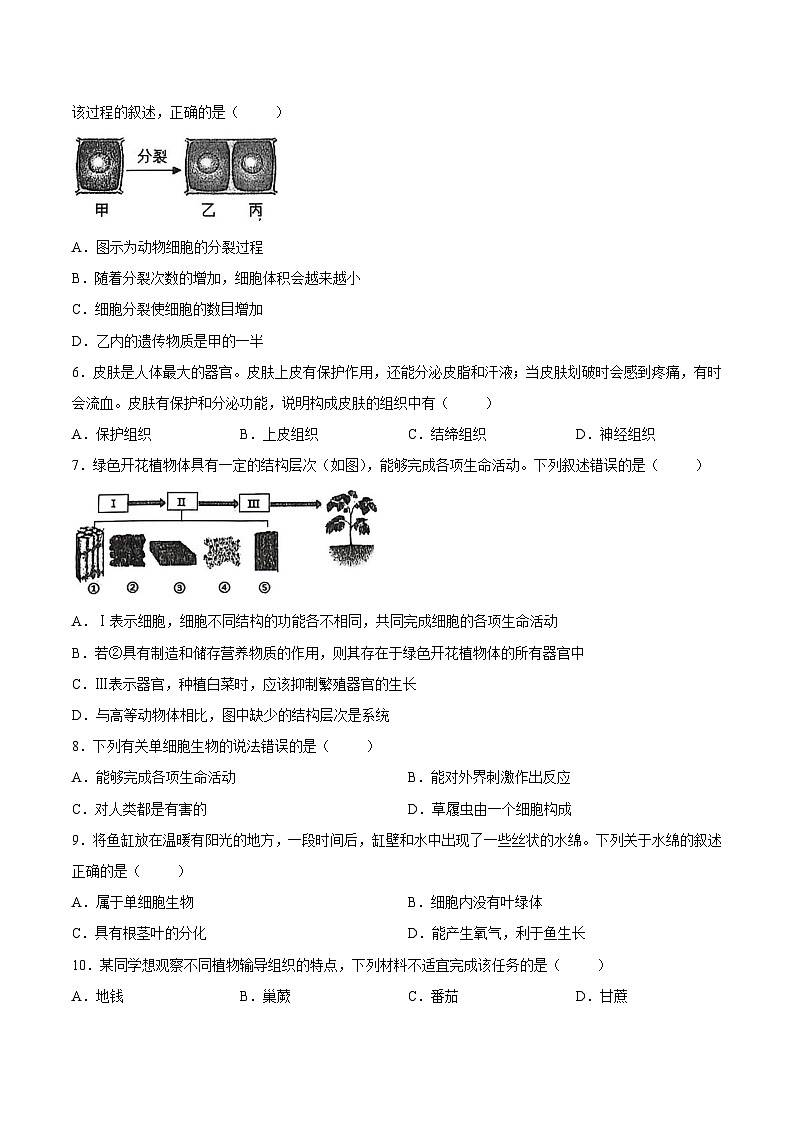 【试卷】河北省秦皇岛市海港区2025-2026学年七年级上学期期末质量检测生物试卷第2页