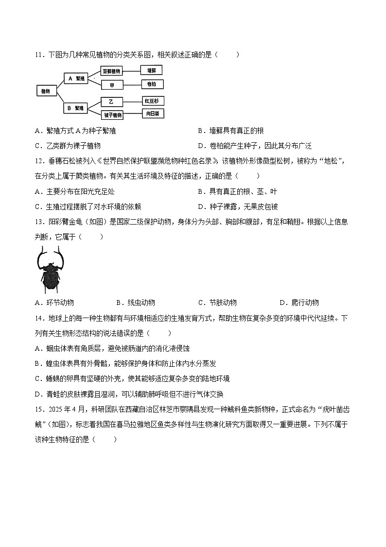 【试卷】河北省秦皇岛市海港区2025-2026学年七年级上学期期末质量检测生物试卷第3页