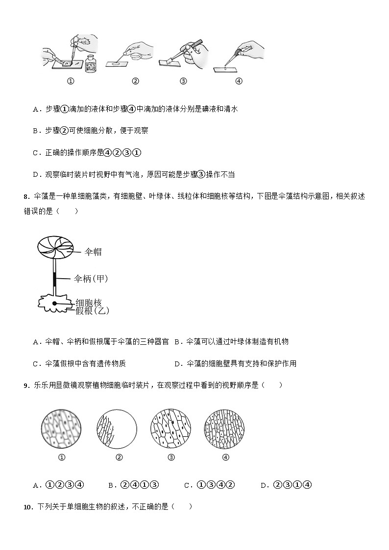 2025-2026学年人教版（2024）七年级生物第一学期期末模拟练习题 （含答案）第2页