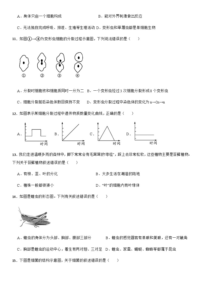2025-2026学年人教版（2024）七年级生物第一学期期末模拟练习题 （含答案）第3页