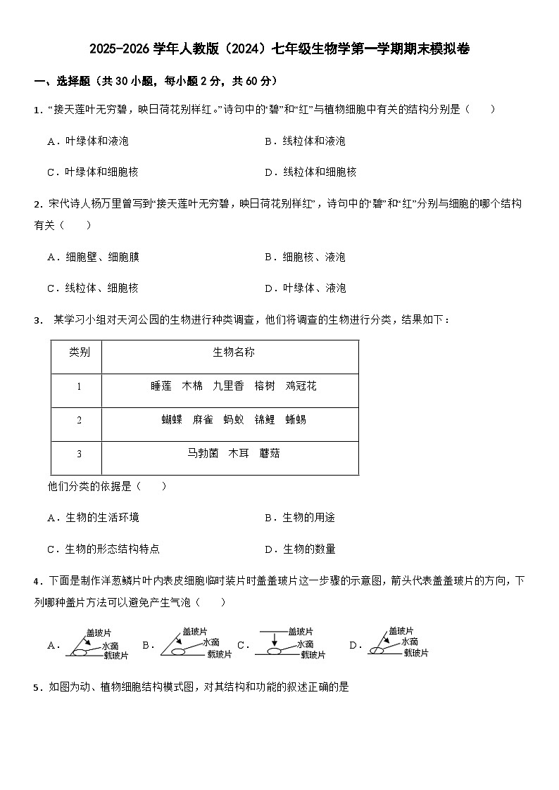 2025-2026学年人教版（2024）七年级生物学第一学期期末模拟卷（含答案）第1页