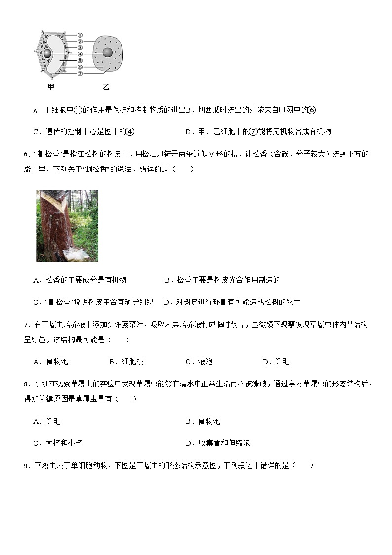 2025-2026学年人教版（2024）七年级生物学第一学期期末模拟卷（含答案）第2页