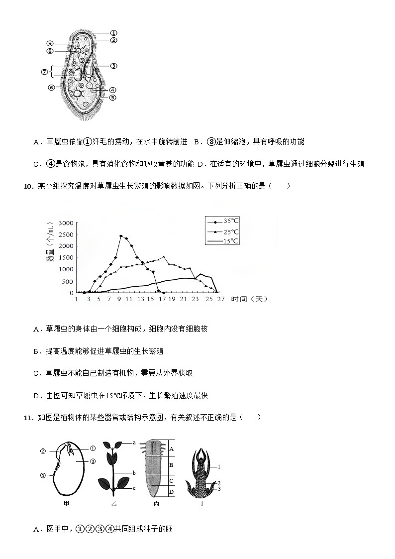 2025-2026学年人教版（2024）七年级生物学第一学期期末模拟卷（含答案）第3页